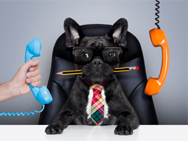 The Business Owners Guide to Hosted PBX Phone Systems