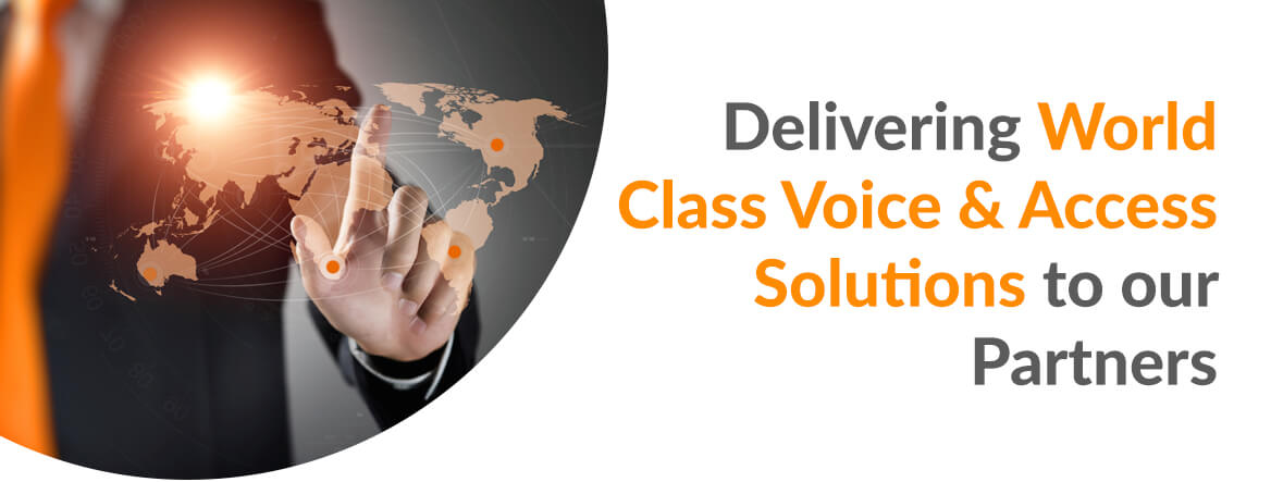 Primus Wholesale - Deliver World Class Solutions
